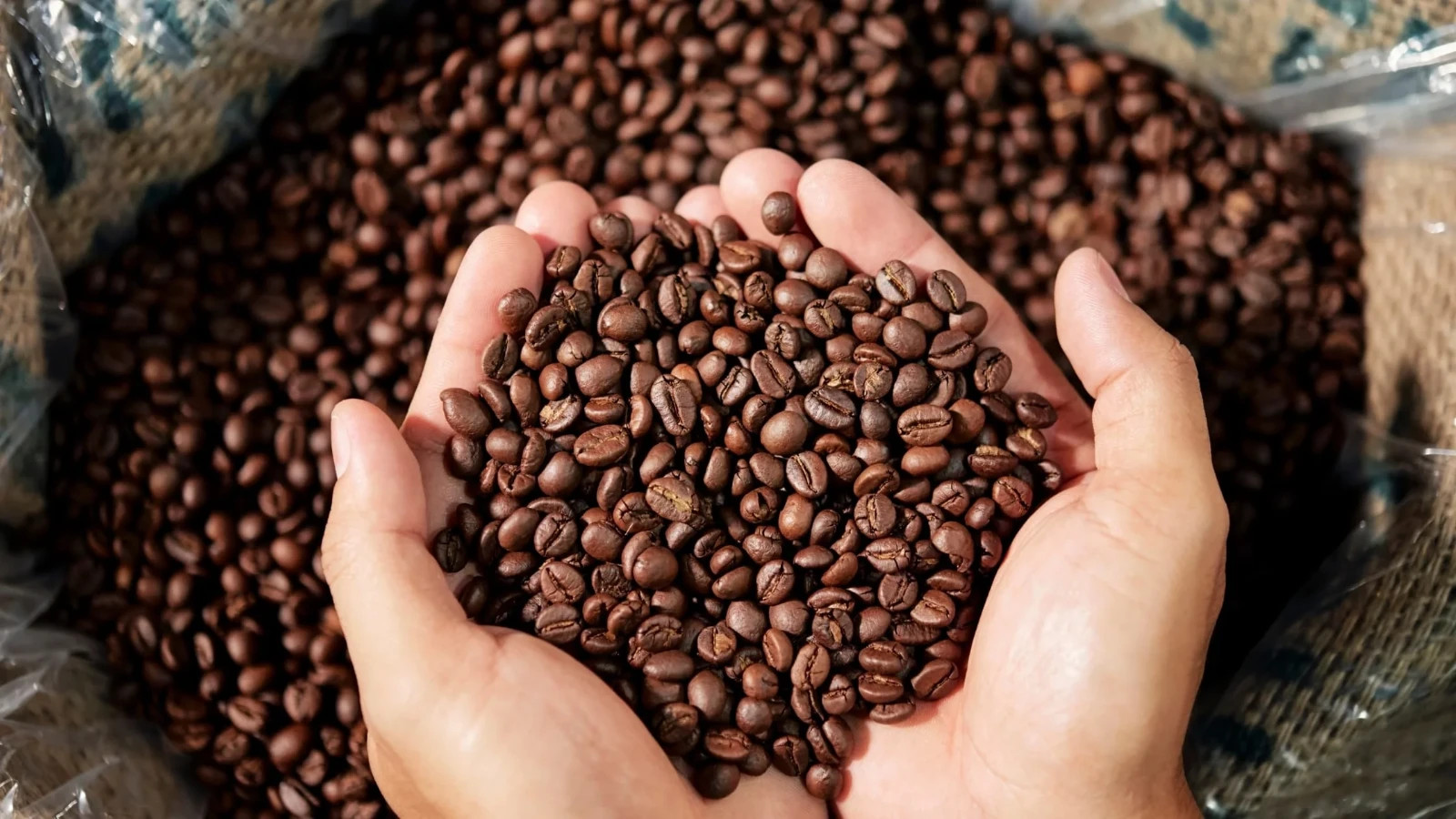 Ethiopia Natural Kaffa Bun – Specialty Organic – Single Origin – Med-Dark Roast