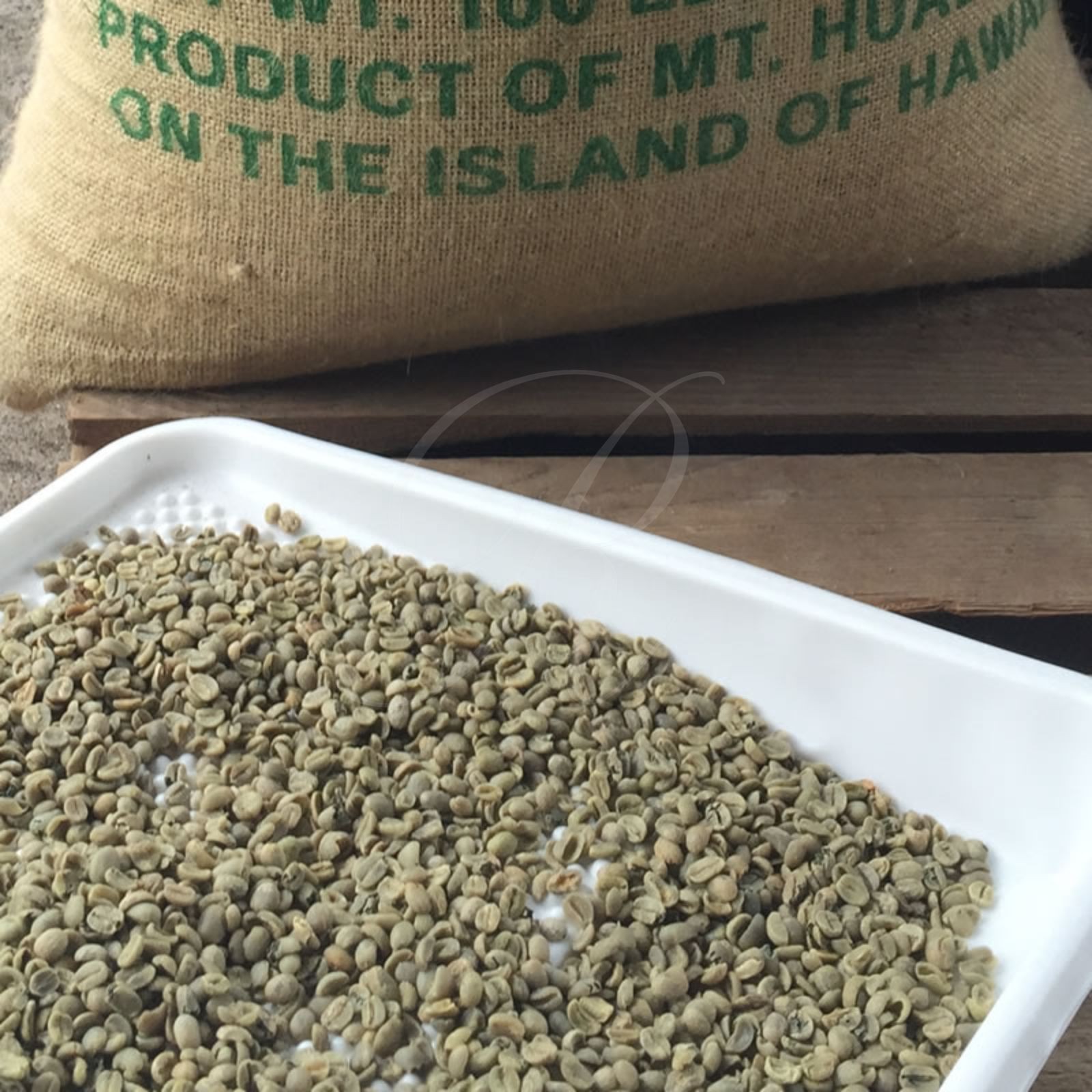 6 lb Combo of 100% Jamaica Blue Mountain & Kona Extra Fancy Coffee – Free Ship!