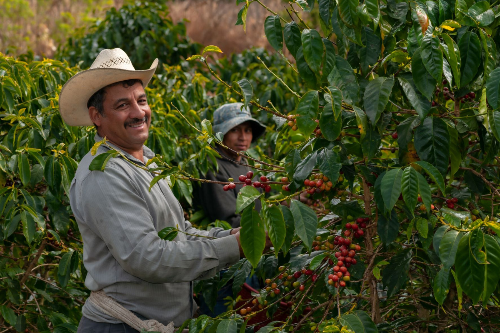 8oz/5lb – Guatemala Antigua – Central America – Fresh Roasted To Order Coffee