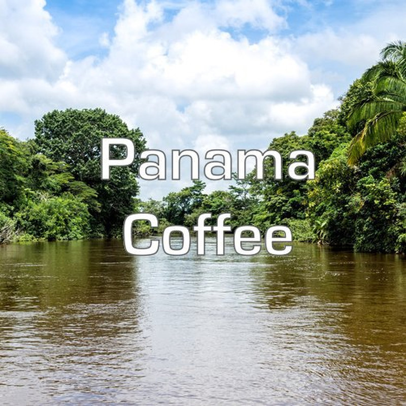 Panama Coffee, Boquete Region, Whole Bean, Fresh Roasted, 16-Ounce