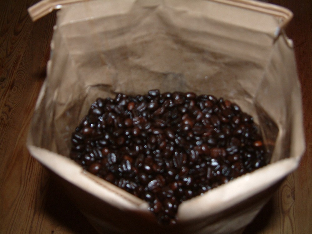 Catherine Marie’s Costa Rican Tarrazu Coffee Beans 5 Lbs.