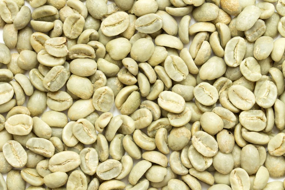 2lb/40lb – Guatemala Antigua – Specialty Grade – Unroasted Green Coffee Beans