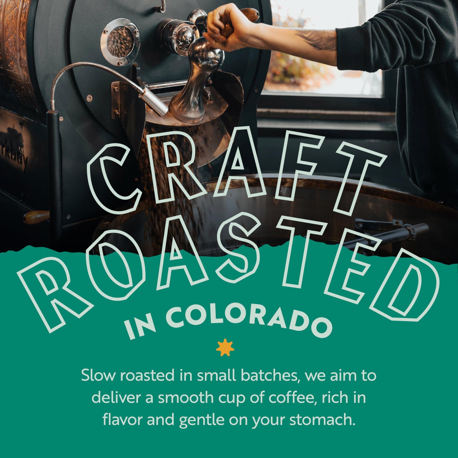 Low Acid Dark Roast Whole Bean Coffee Honduras Notes Caramel Chocolate 12 oz