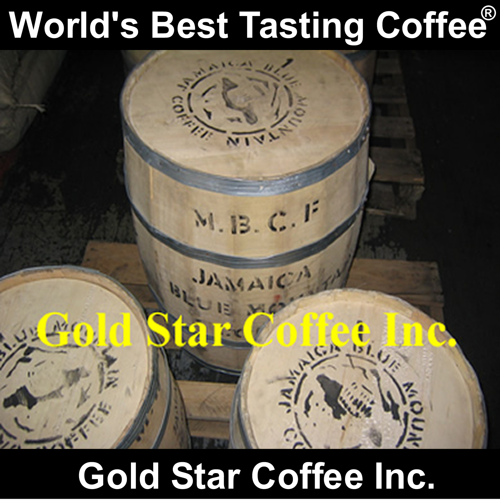 Jamaica Blue Mountain & Yauco Selecto Coffee – 4 lb The Best Tasting Coffees