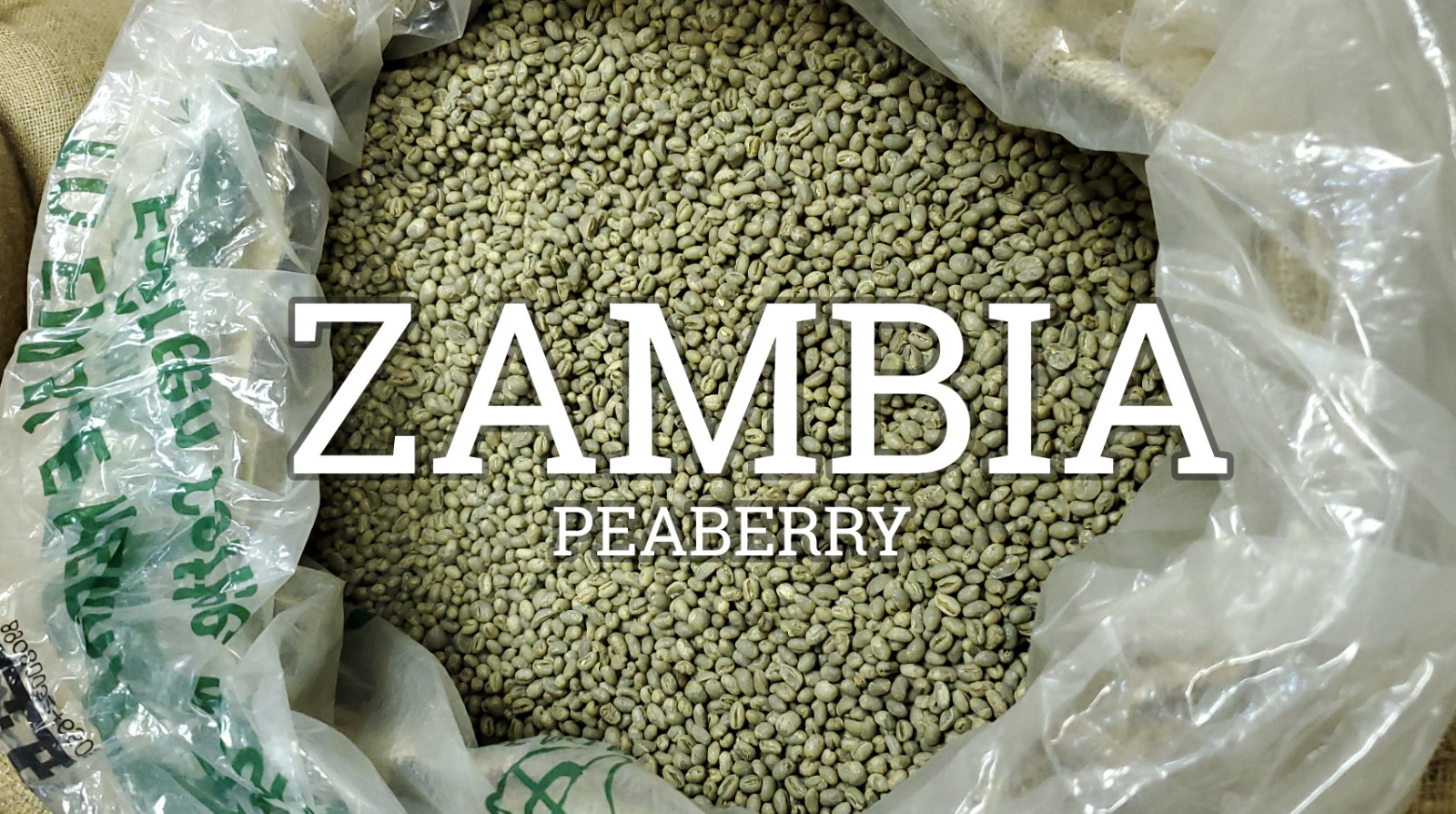 5 LB FRESH UNROASTED ZAMBIAN ZAMBIA PEABERRY GREEN COFFEE BEANS – ARABICA