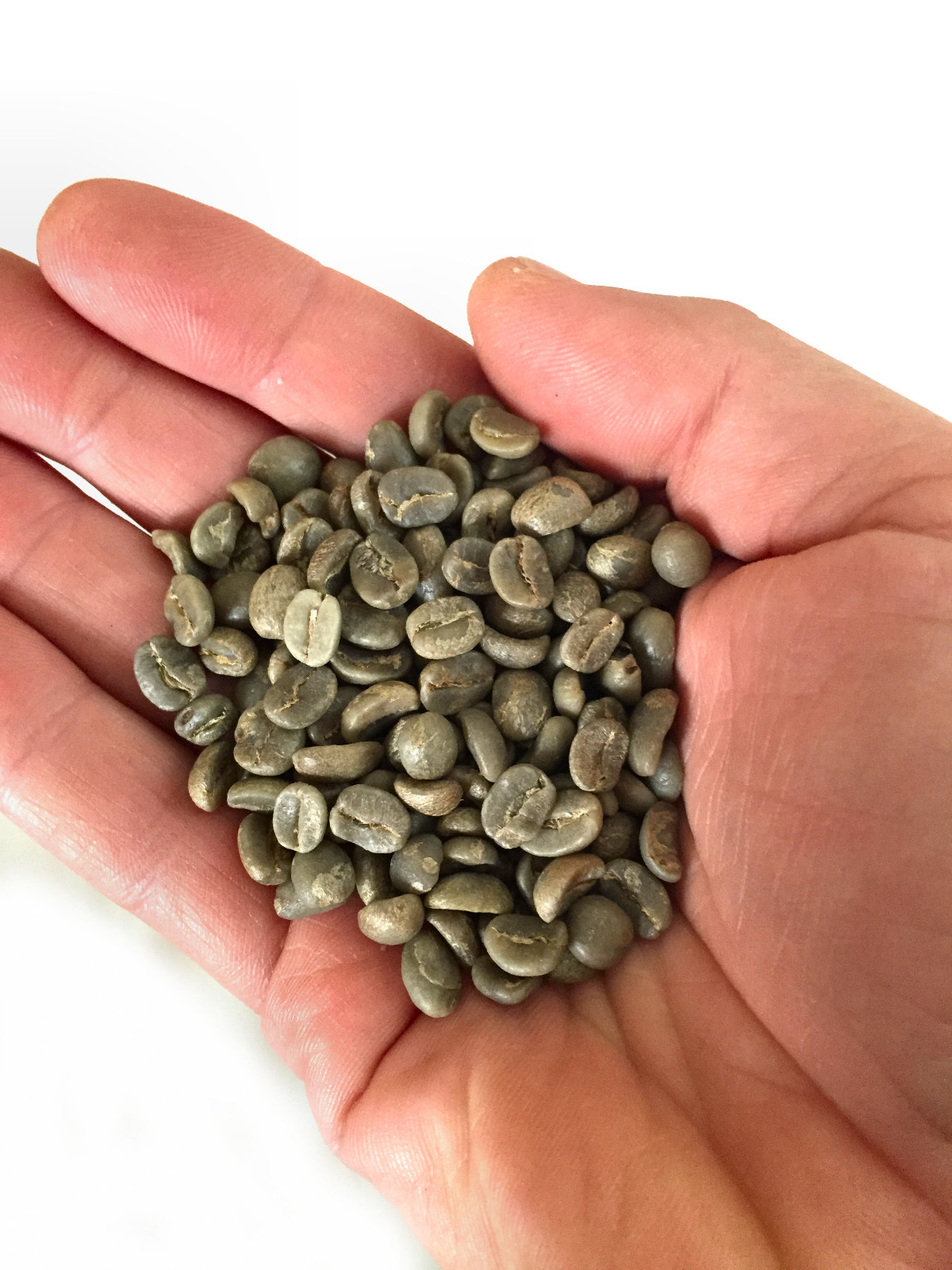 5 lbs Green Coffee – 2.5 lbs Brazil and 2.5 lbs Sumatra