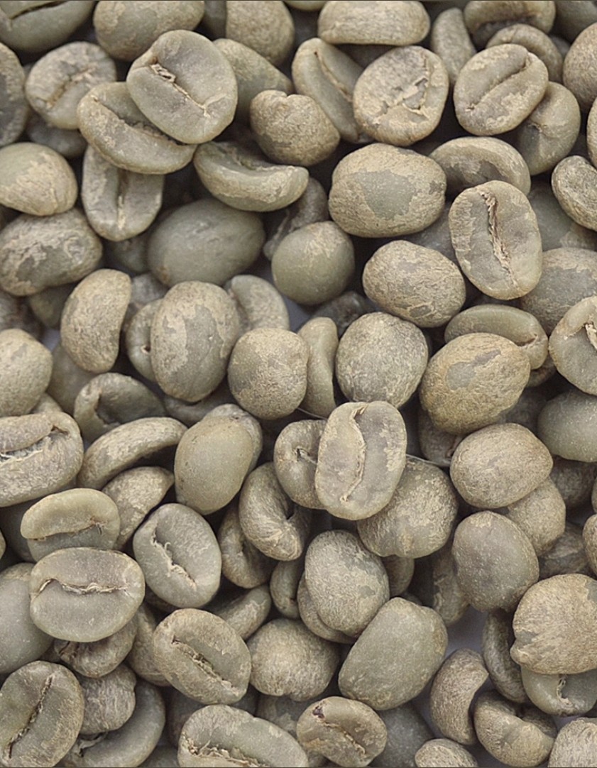 Green Coffee Beans / Guatemalan La Flor Del Cafe Antigua/ 1 Pound / UNROASTED