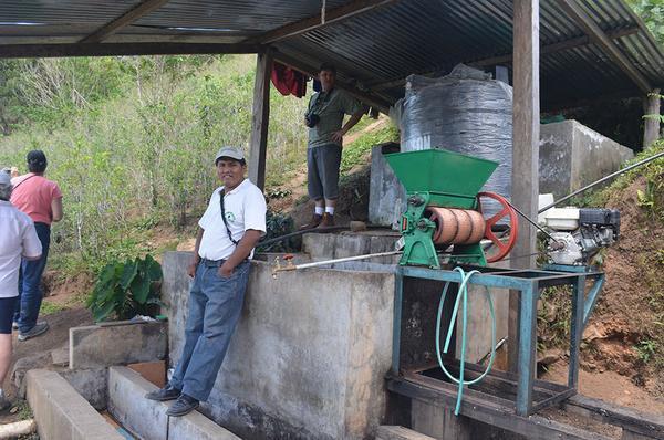 10 lbs BOLIVIA FAIR TRADE ORGANIC (FTO) AA GREEN COFFEE BEANS FREE SHIPPING