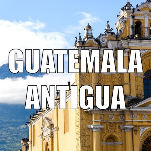 Guatemala Coffee, Antigua, Whole Bean, Medium 16 Ounce (Pack of 1), Brown
