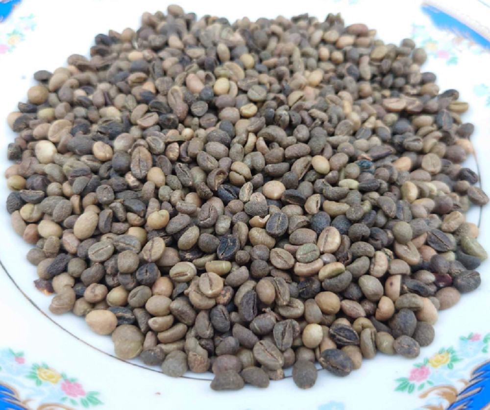 Ceylon Black Coffee Seed Pure Natural Fresh Sun Dried Beans 100% High Quality
