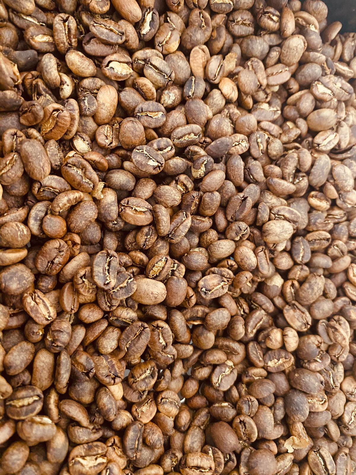 Ethiopia Guji Benti Nenka coffee: Fresh Roasted Beans, single-origin, 200g