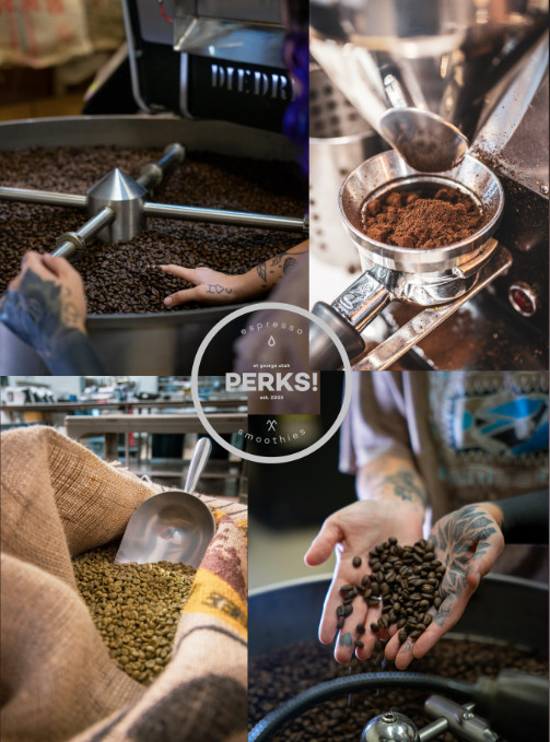 Perks! Nicaragua Jinotega “Cabo Azul” Light Roast Whole Bean Coffee – 5lb Bag