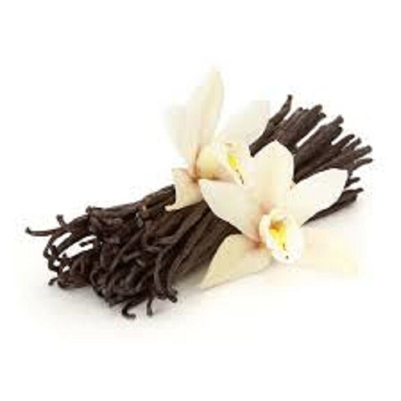 French Vanilla Whole Bean 10oz Dessert Coffee Fresh Roasted