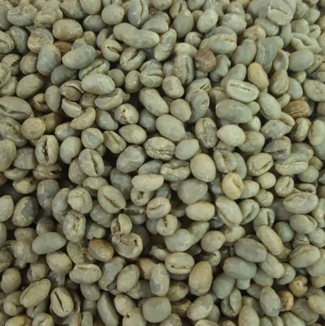 100 Percent Peaberry Jamaica Blue Mountain Unroasted Green Coffee Beans Bulk