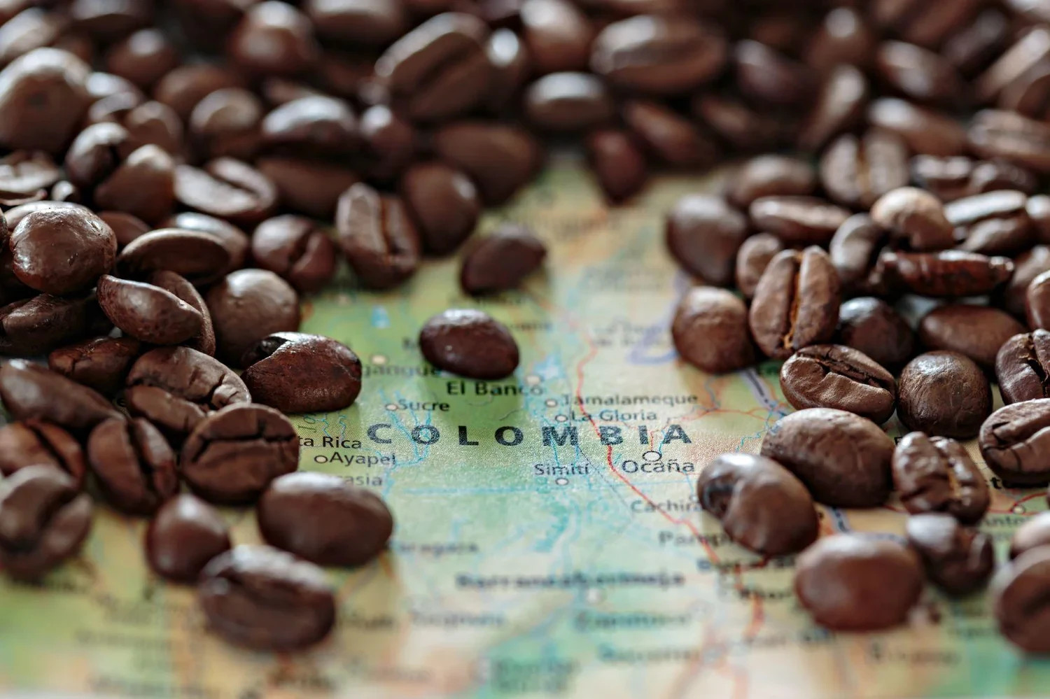 Coffee Beans / Colombian Supremo Huila / 1 Pound / ROASTED