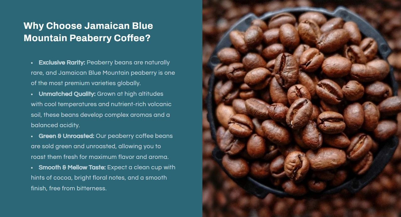 100 Percent Peaberry Jamaica Blue Mountain Unroasted Green Coffee Beans Bulk