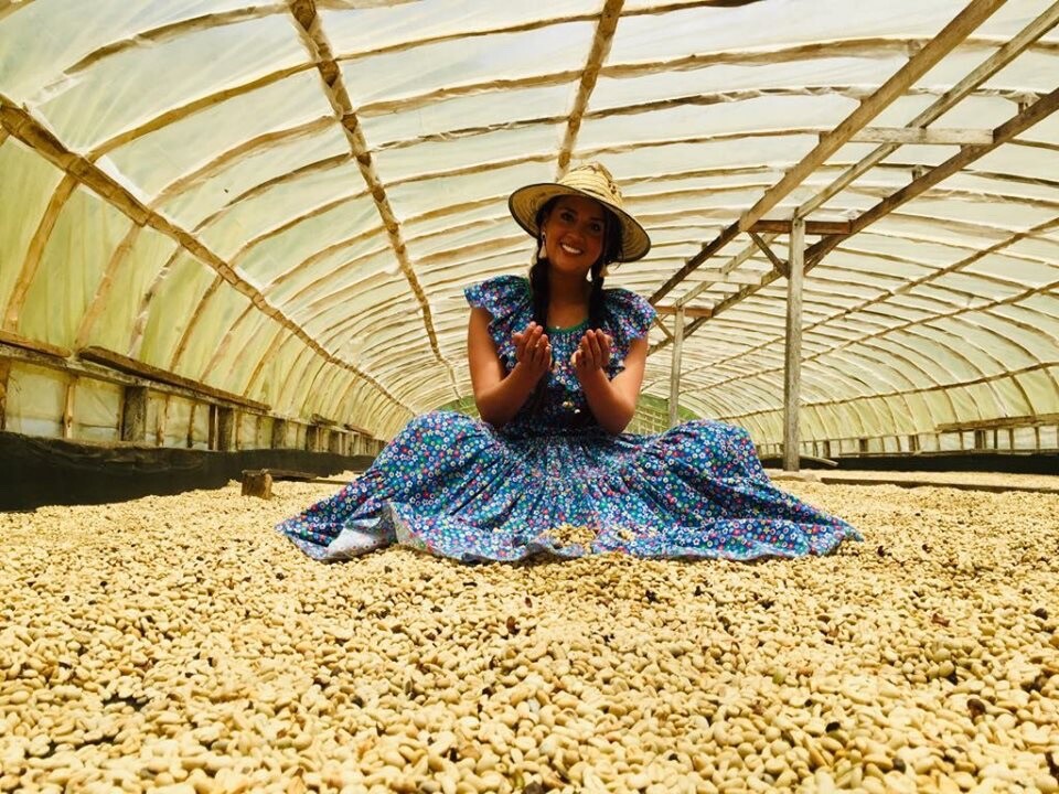 COLOMBIAN GREEN COFFEE – CATURRA, ARABICA – SINGLE ESTATE – HUILA, CO – 10 LB