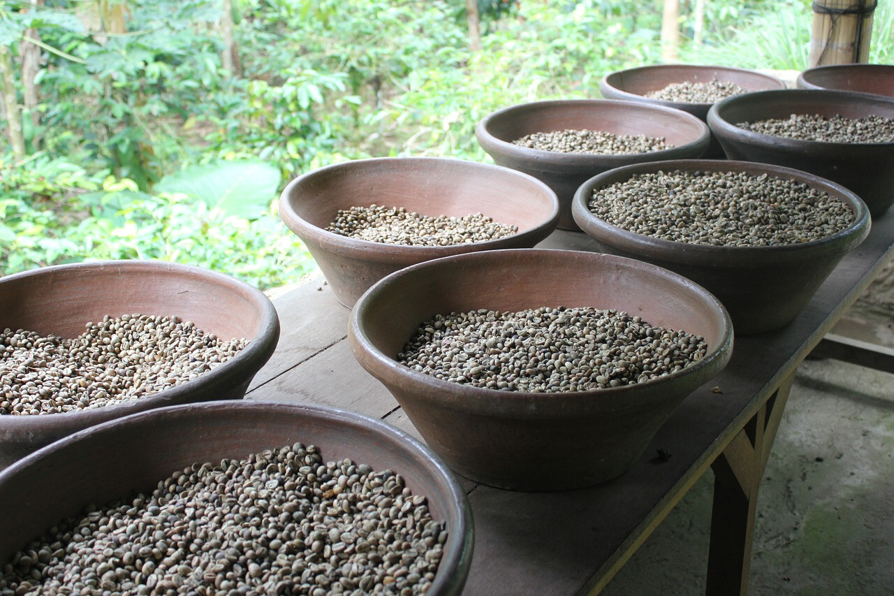 Bali Blue Moon unroasted green coffee beans Organic Rainforest Alliance, 4lbs