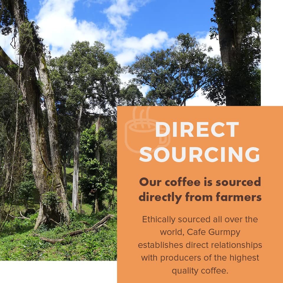 Ethiopia Yirgacheffe Single Origin Whole Coffee Beans Medium Roast 12 oz