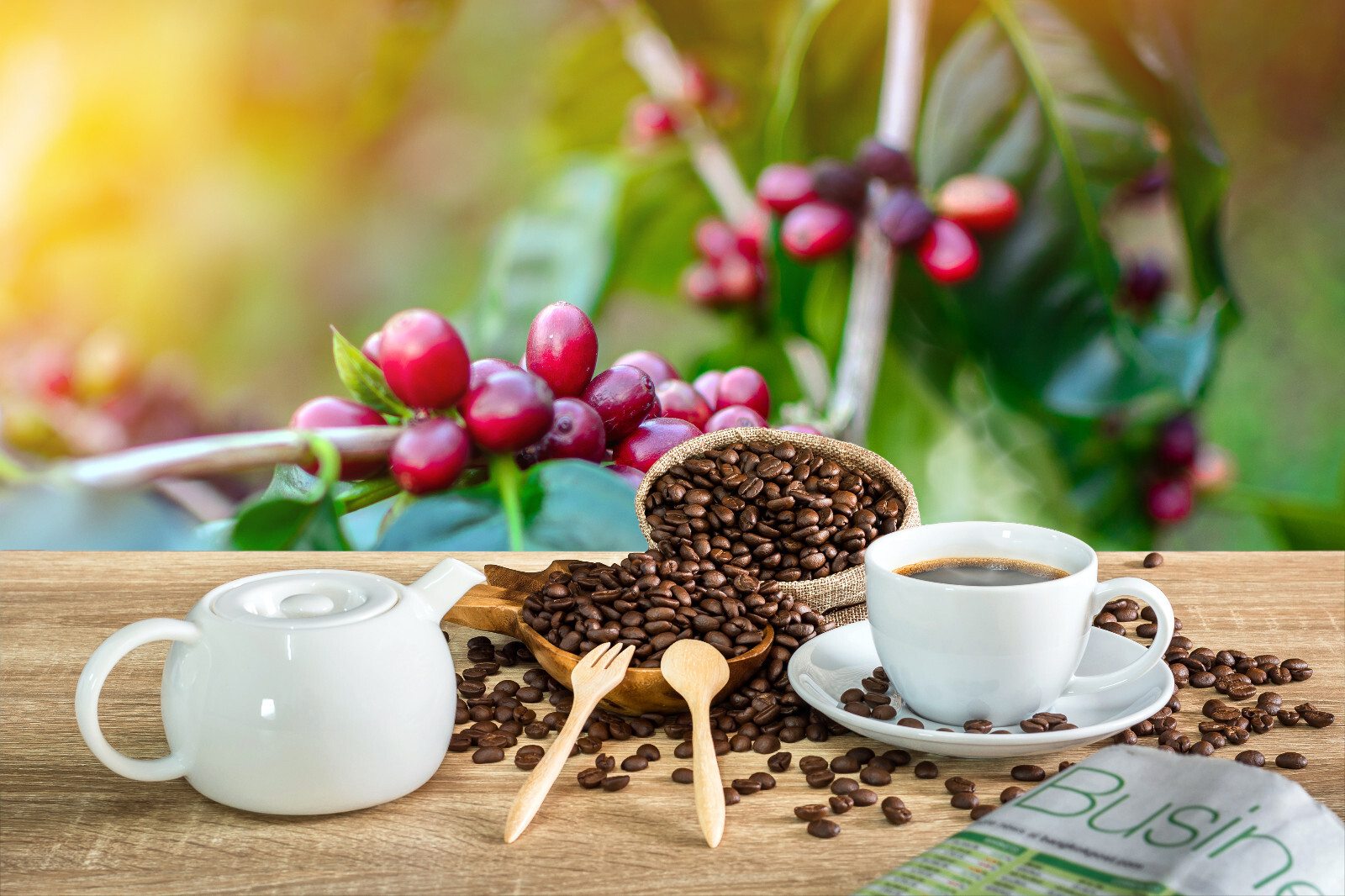 8oz/5lb – Tanzania Peaberry – African – Premium Fresh Roasted To Order Coffee