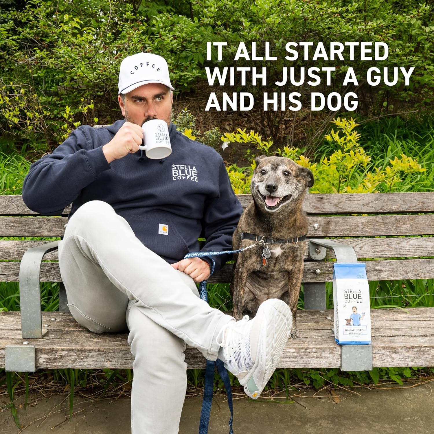 Whole Bean Coffee Big Cat Blend Medium Roast Caramel Hazelnut Fruity Notes