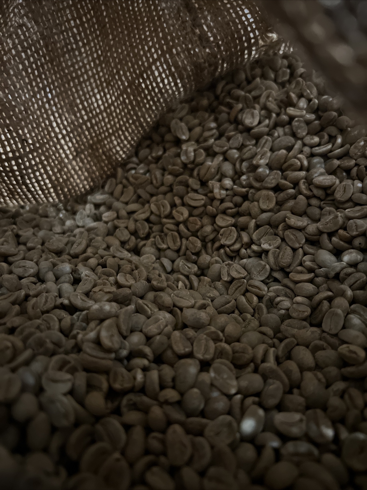 4 LBS UNROASTED GREEN COFFEE BEANS From Nicaragua