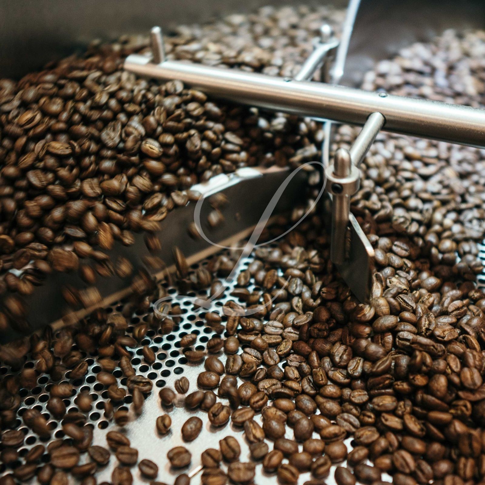 20 lbs of Certified ORGANIC Jamaica Blue Mountain Coffee ~ Customize Your Roast!