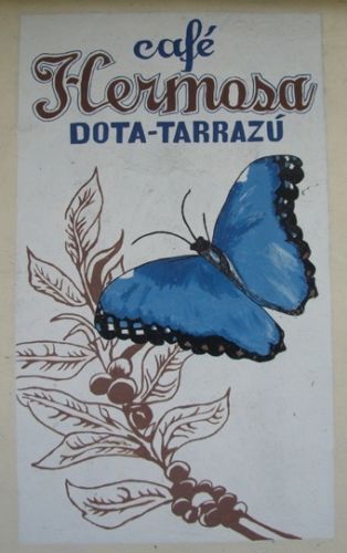 DOTA COSTA RICAN TARRAZU COFFEE BEANS MEDIUM ROASTED 2 POUNDS