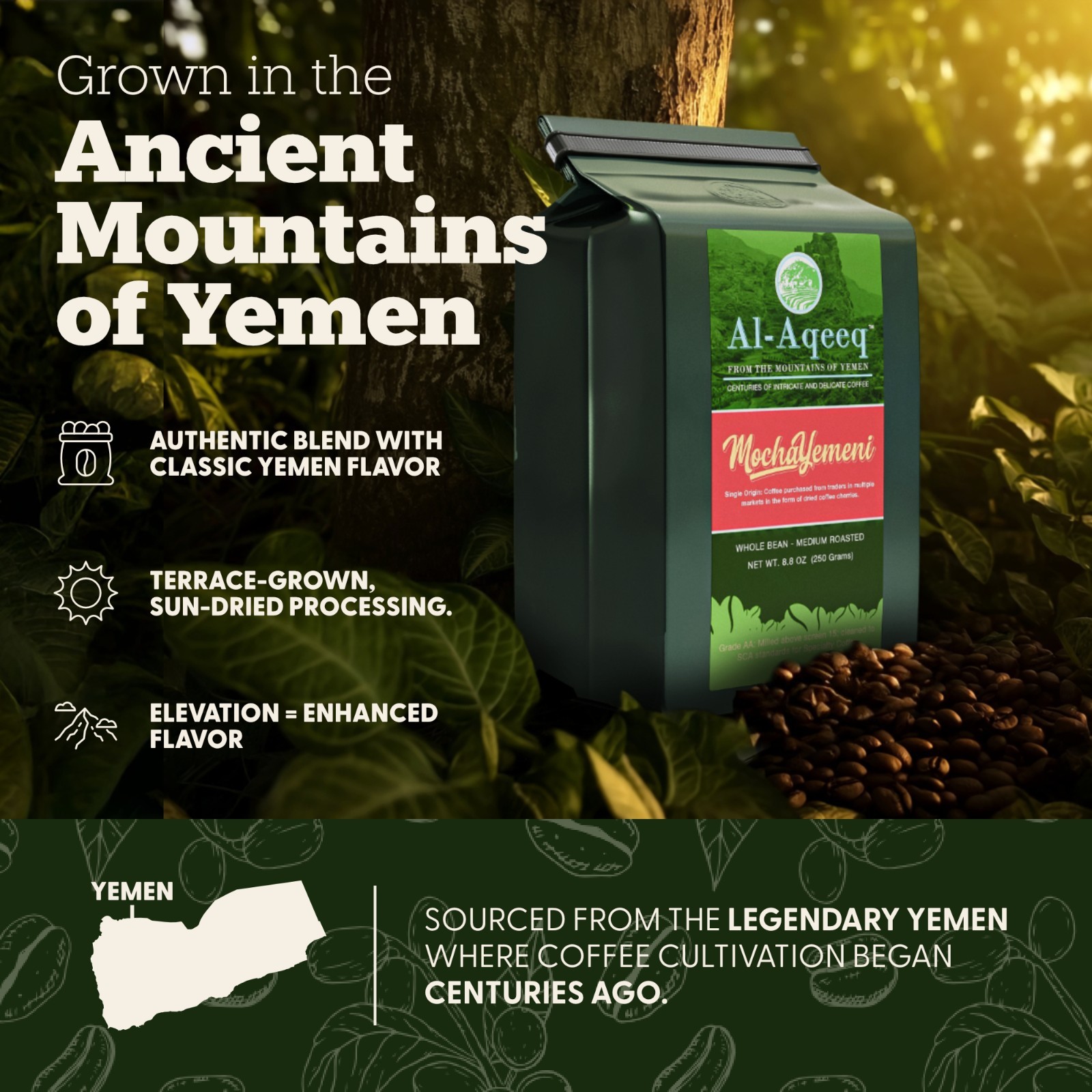 Authentic Mocha-Yemeni: Whole Bean Yemen Coffee