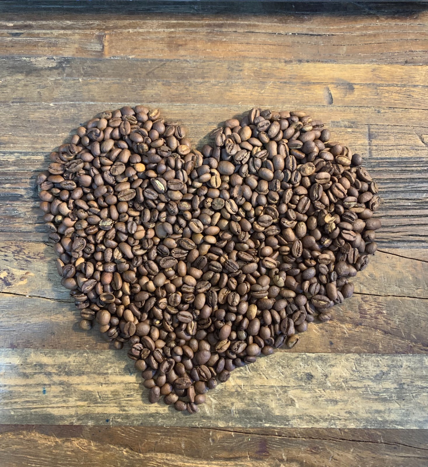 Green Unroasted coffee beans 10 pounds Colombia El Pilar Washed Castillo Rosario