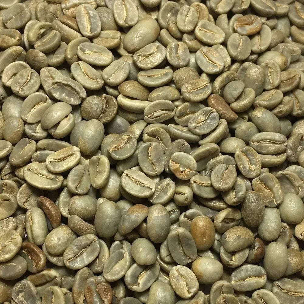 Papau New Guinea Y1 Green Unroasted Coffee 5 lb