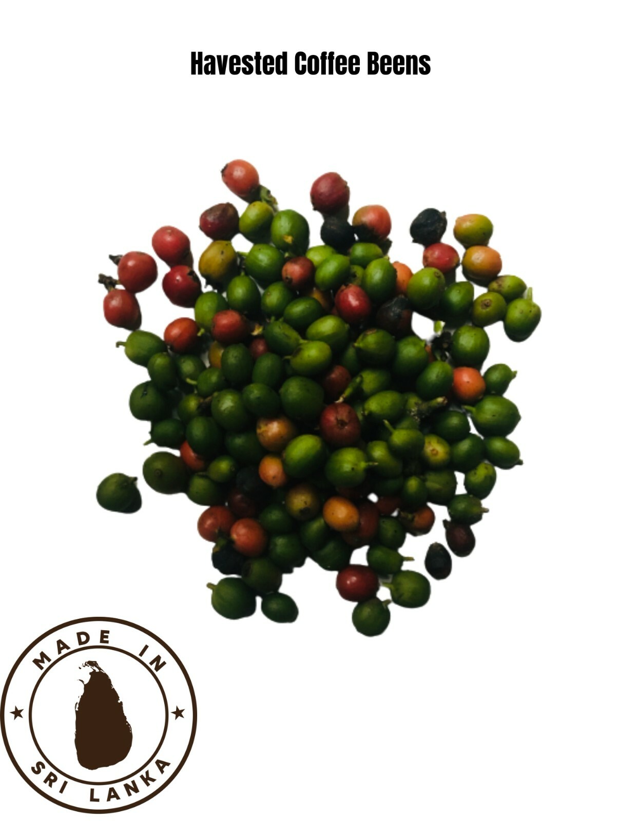 Ceylon 100% Pure Organic Natural Arabica Coffee Been Black Roasted Unroasted