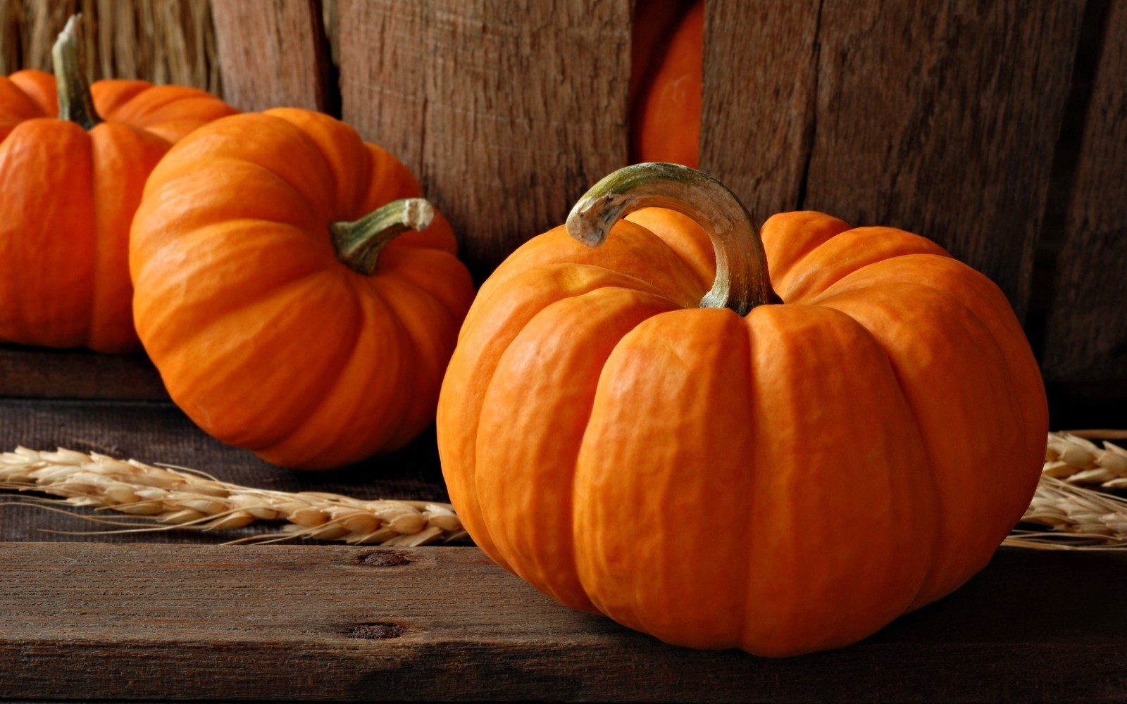 Pumpkin Spice Latte Flavored Coffee – 14oz Ground