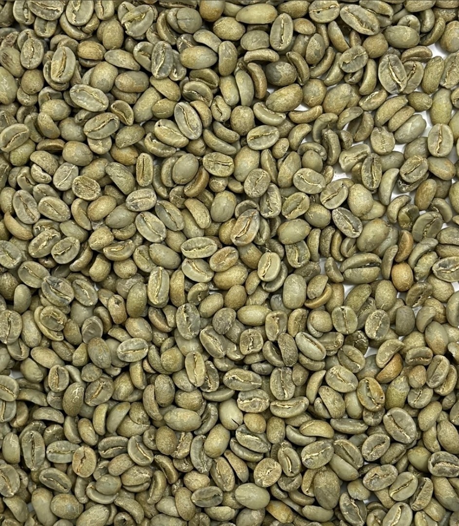Green Coffee Beans / Guatemala Finca Santa Margarita/ 1 Pound / UNROASTED