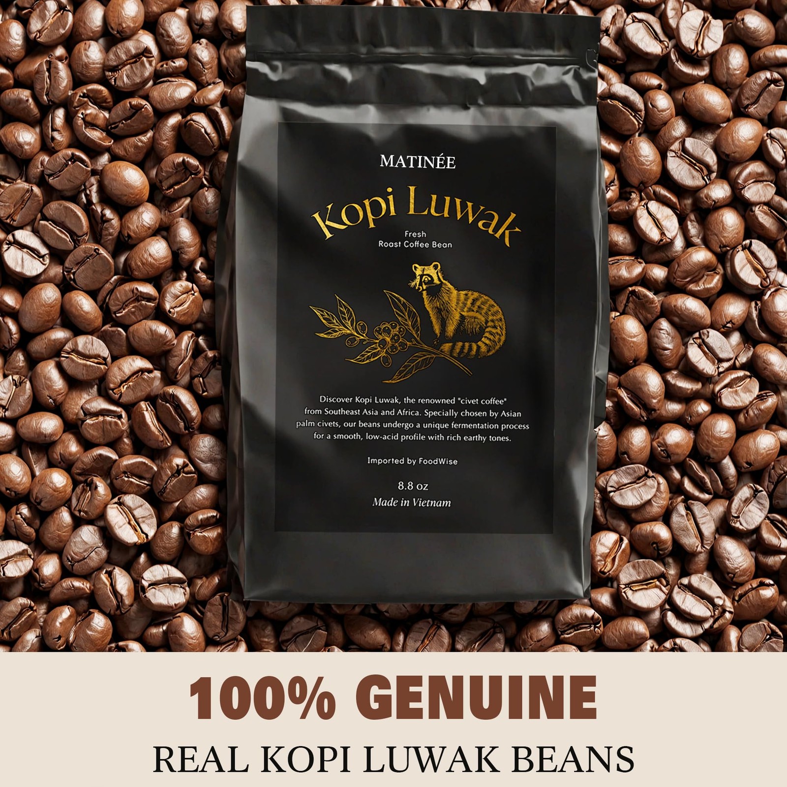 Sustainable Wild Kopi Luwak Coffee Beans, Medium Roast, 8.8oz / 250g