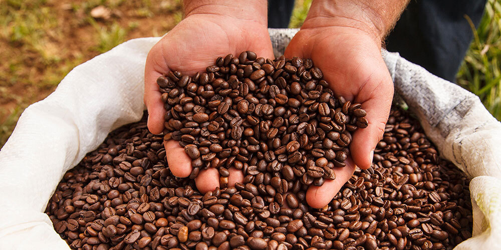 Guatemalan Huehuetenango Coffee Beans Medium Roasted 2 Pounds