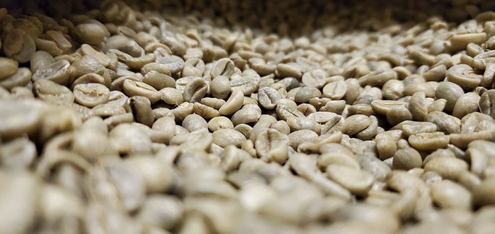 5 LB INDONESIA INDONESIAN JAVA UNROASTED GREEN COFFEE BEANS – ORGANIC ARABICA