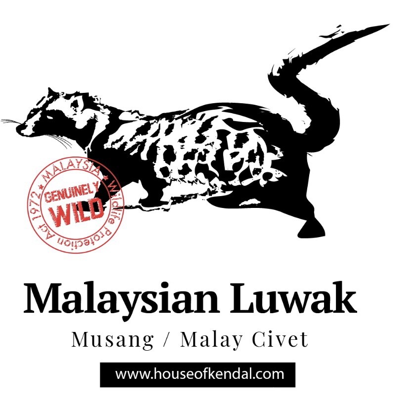 Coffee, Wild LUWAK Liberica Malaysia, 8 oz packing, REDUCED PRICE