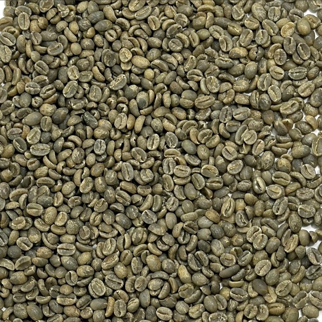 Green Coffee Beans / Java Blawan Estate East / 1 Pound / UNROASTED