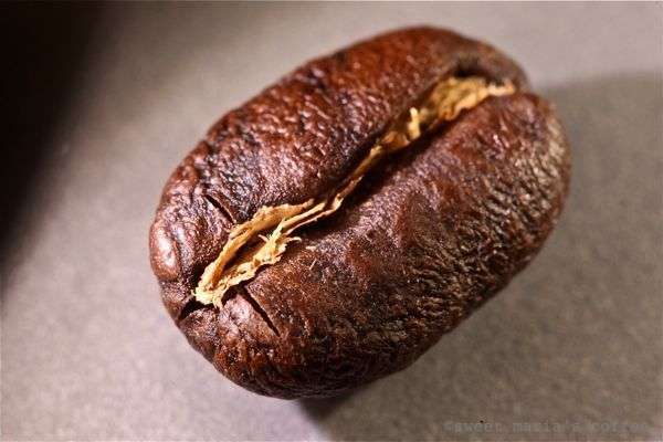 KENYA COFFEE BEANS PEABERRY MEDIUM ROASTED 5 POUNDS