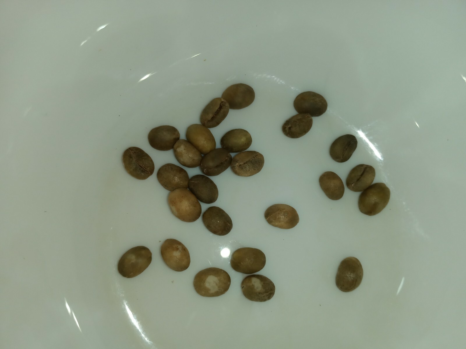 100% Ceylon Coffee Beans Green / Raw / Unroasted homemade 1-1/2 pound