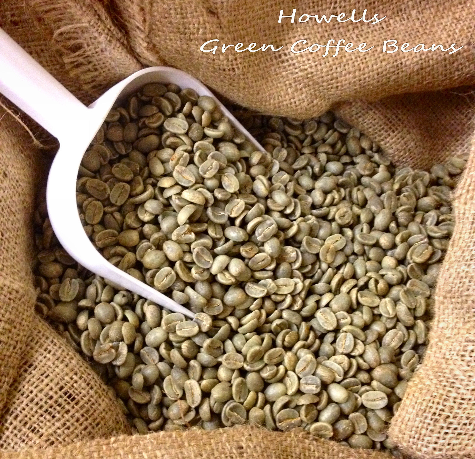 5 lbs Green Coffee – 2.5 lbs Brazil and 2.5 lbs Sumatra