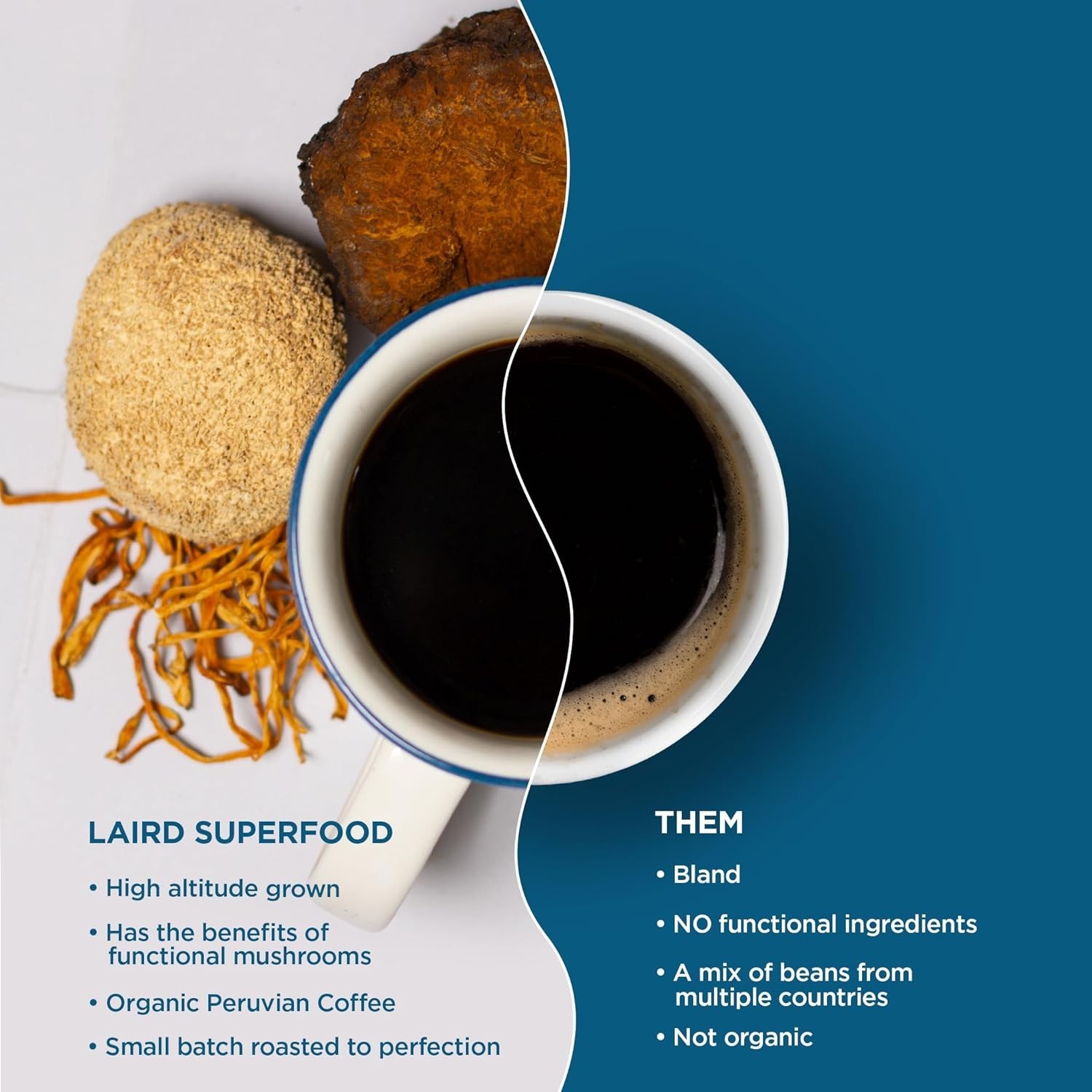 12 oz Organic Dark Roast Coffee Infused with Chaga & Lion’s Mane Mushrooms