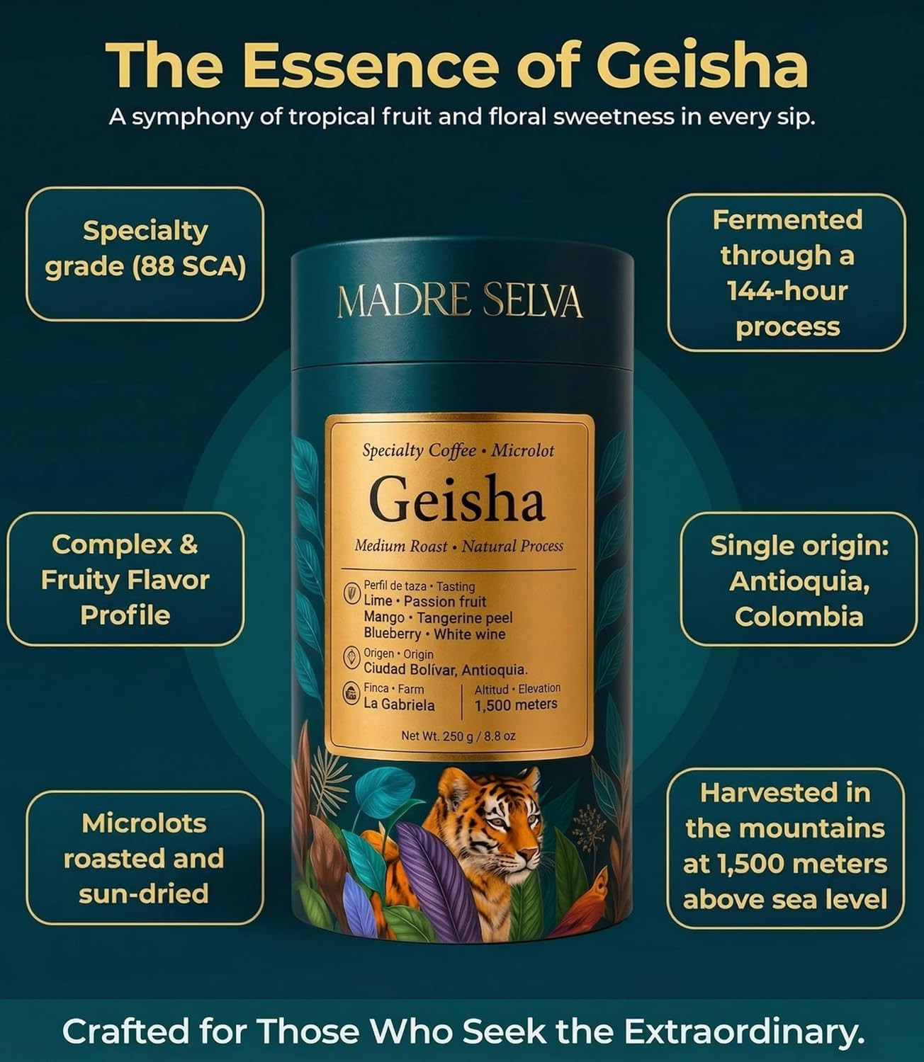 Colombian Geisha Coffee Whole Bean Medium Roast Arabica Gourmet Fresh Single Ori