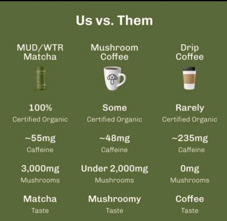 MUDWTR Organic Matcha Mushroom Coffee Alternative – 2.5oz