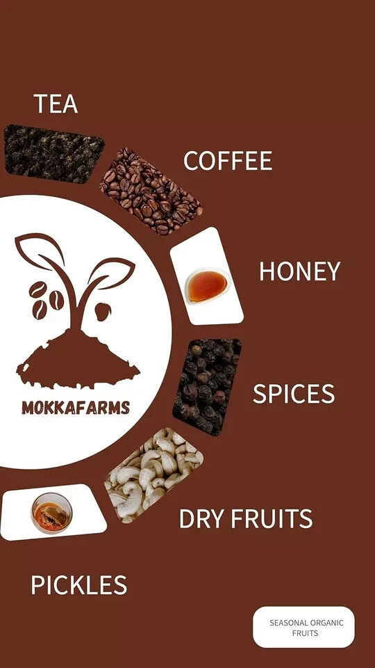 MokkaFarms 100% Pure Arabica Roasted Coffee Beans 500g Free Shipping World Wide