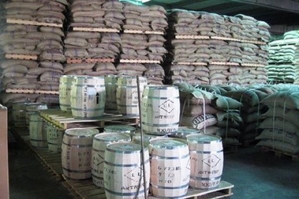 Jamaican Blue Mountain Coffee Beans Medium Roasted 12 Pounds In 1 Pound Bags
