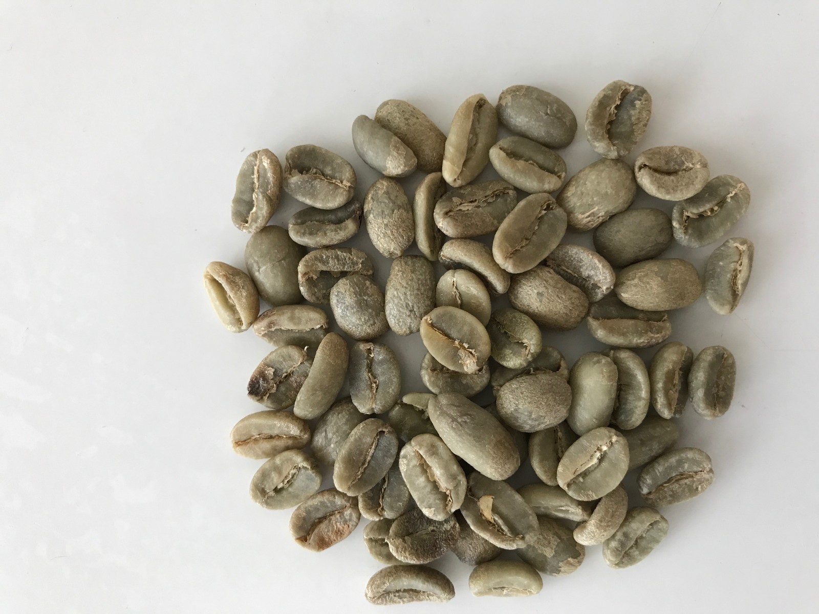 Hawaiian Kona Blend – 6/1lb Bags -Fresh Roasted Everyday!