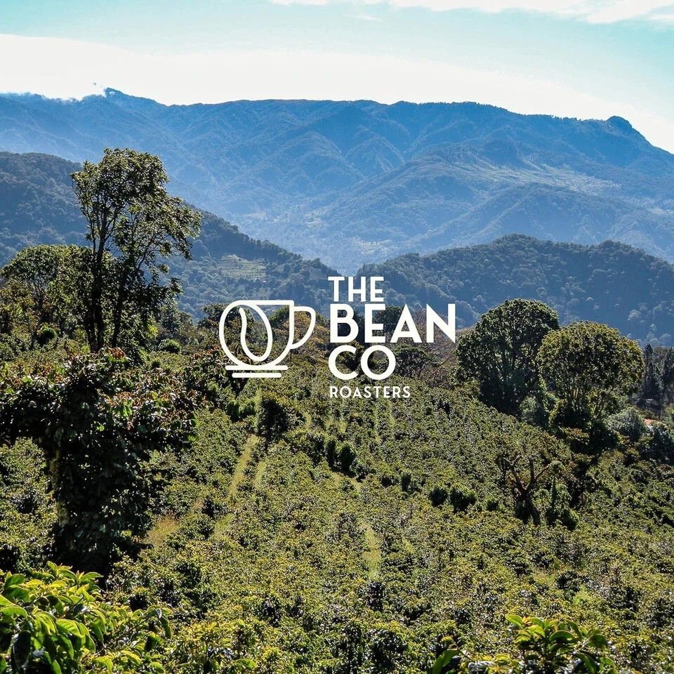 THE BEAN CO Espresso Blend (250 g) Free Shipping World Wide