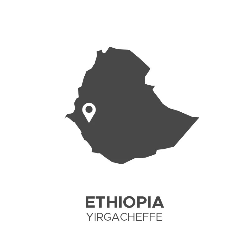 100% ETHIOPIA YIRGACHEFFE G1 – Premium Specialty Coffee – Green Beans 5lb